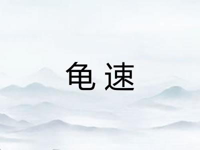 龟速