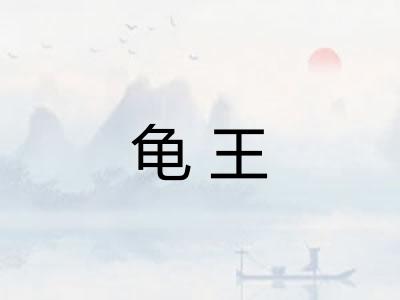 龟王 龟王