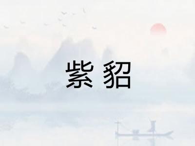 紫貂