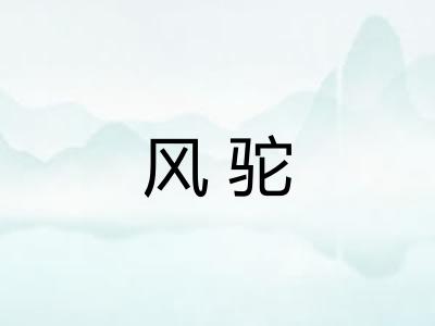 风驼