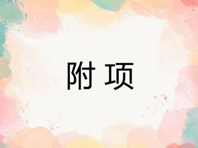 附项
