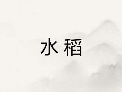 水稻