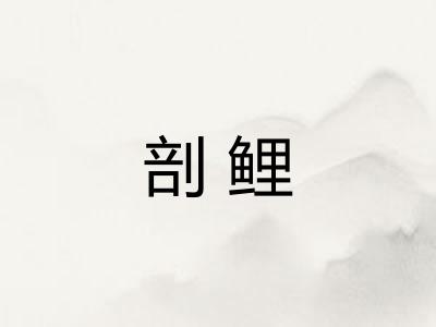 剖鲤