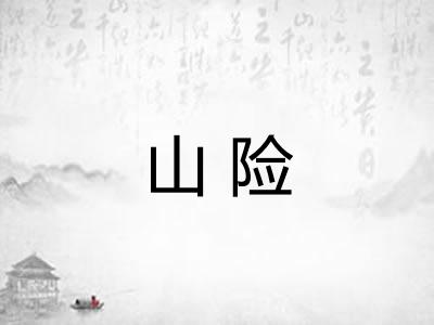 山险