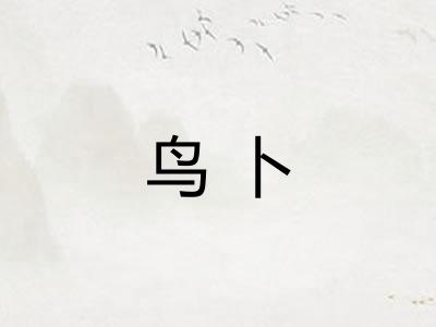 鸟卜