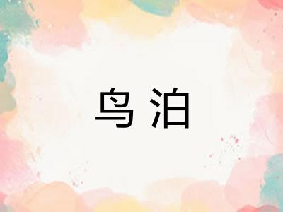 鸟泊 鸟泊