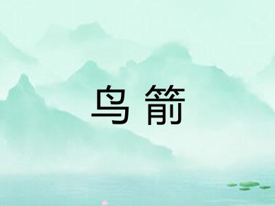鸟箭