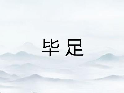 毕足