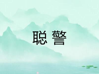 聪警 聪警