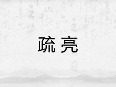 疏亮