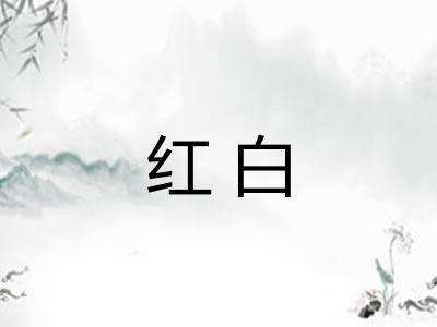 红白 红白
