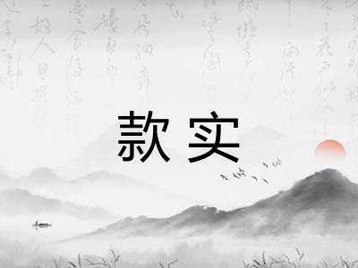 款实