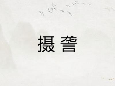 摄詟