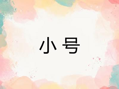 小号