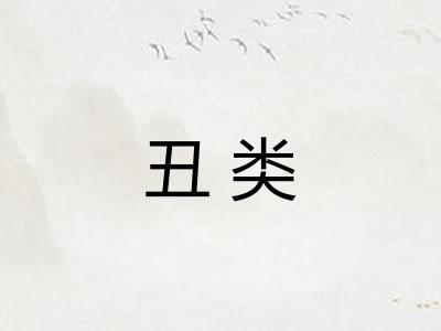 丑类