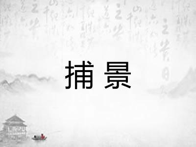 捕景