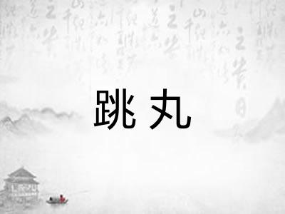 跳丸