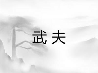 武夫