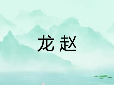 龙赵