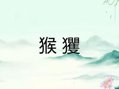 猴玃