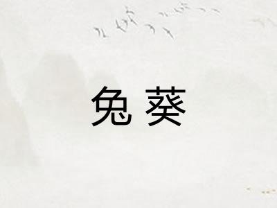 兔葵