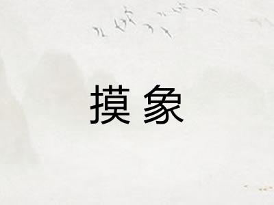 摸象