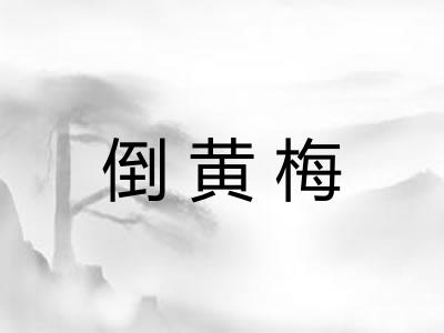 倒黄梅