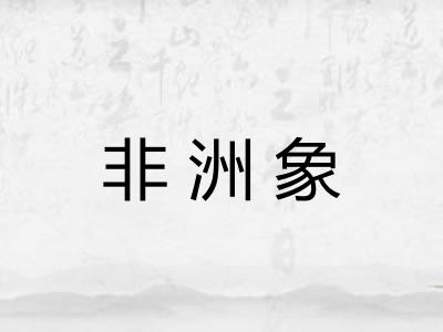 非洲象