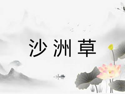沙洲草