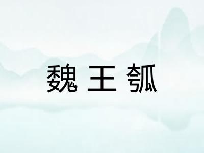 魏王瓠
