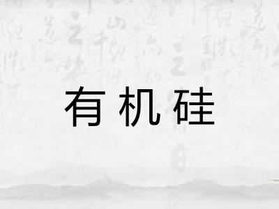 有机硅
