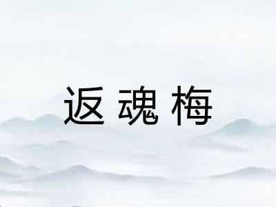 返魂梅