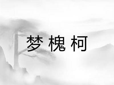 梦槐柯