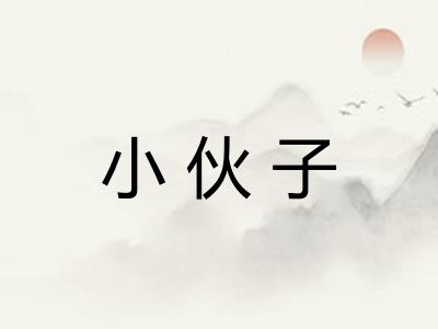 小伙子
