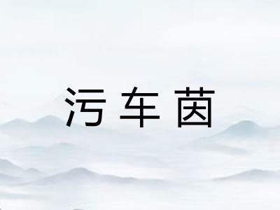 污车茵