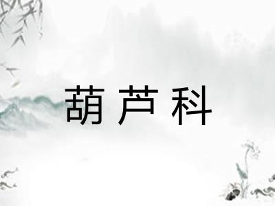 葫芦科