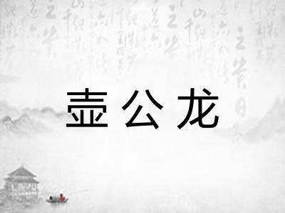 壶公龙