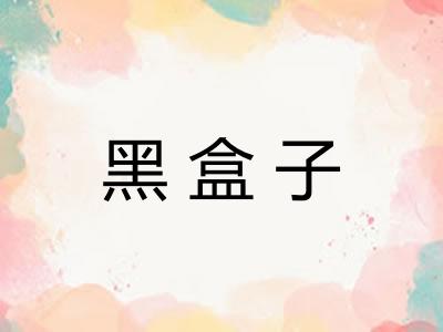 黑盒子