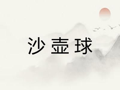 沙壶球