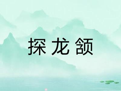 探龙颔