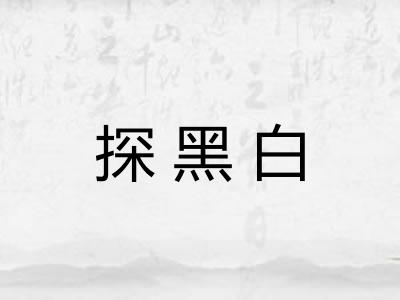 探黑白