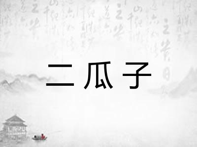 二瓜子