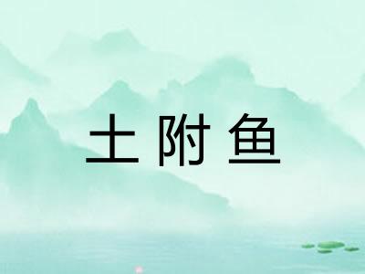 土附鱼 土附鱼