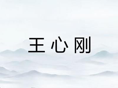王心刚