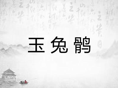 玉兔鹘