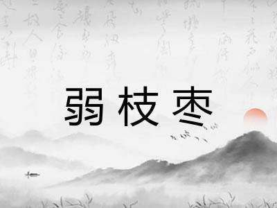 弱枝枣
