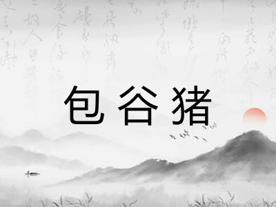 包谷猪