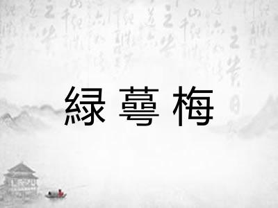 緑蕚梅 緑蕚梅