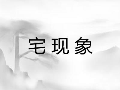 宅现象