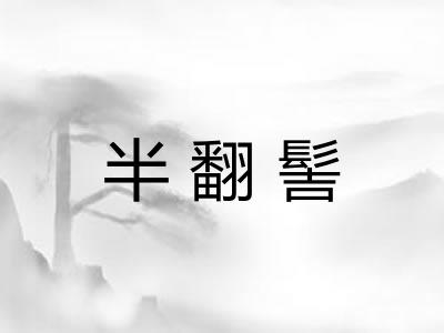 半翻髻